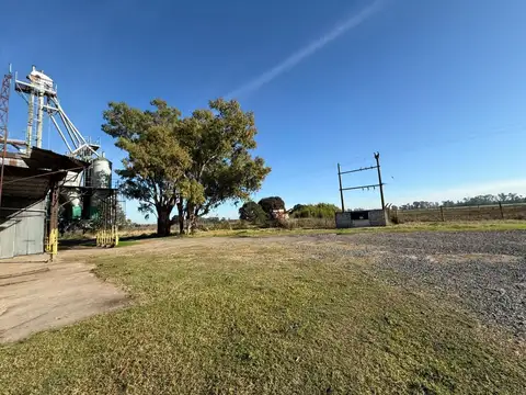 Areco - Alquiler planta alimentos 1ha