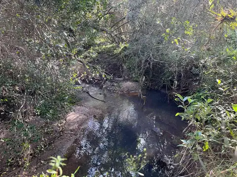 Campo en venta al norte de Garzón - Buen acceso