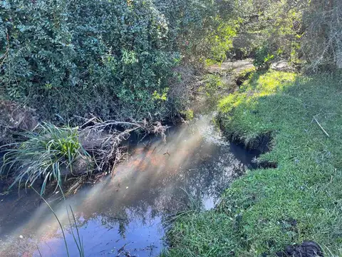 Campo en venta al norte de Garzón - Buen acceso