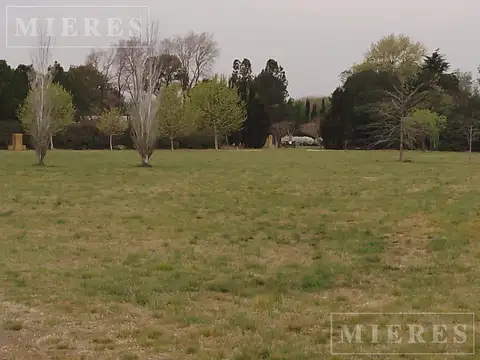 Terreno de 3.001m2 en venta en Chacras de la Cruz