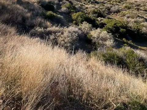 RADA TILLY . 11.000 M2