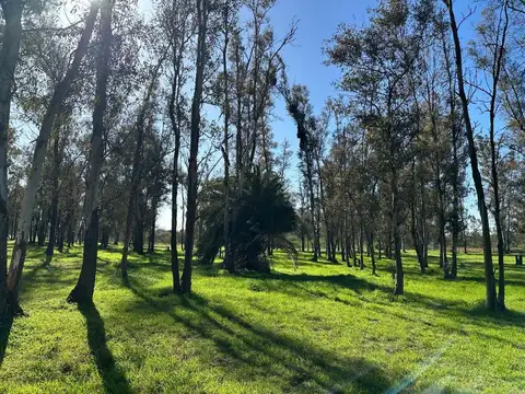 Terreno en Venta en Timbues Jose Maria, San Lorenzo