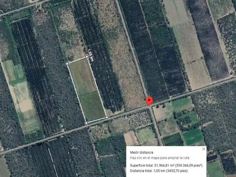 Ruta Nacional 38 500