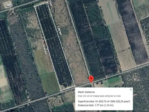 Se vende 32 Ha. REPRESA, OLIVARES ACTIVO Y ALFA
