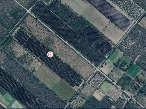 Ruta Nacional 38 500