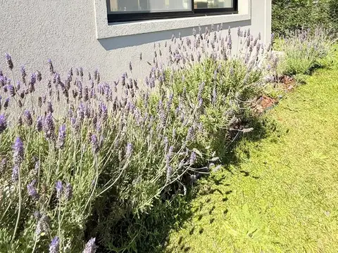 Casa en Venta en San Sebastian, USD 225.000
