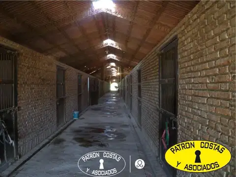 venta chacra Haras Argentino Lujan