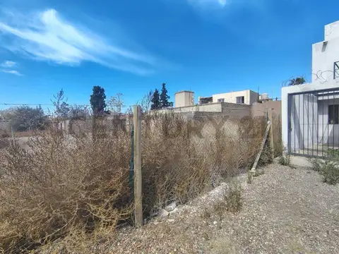 Patricias Argentinas , Piso 0