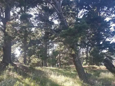 Terreno en Venta en Centro, USD 12.000