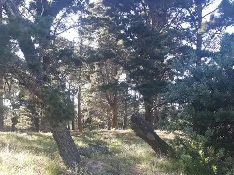 Terreno en Venta de 407,0 m2
