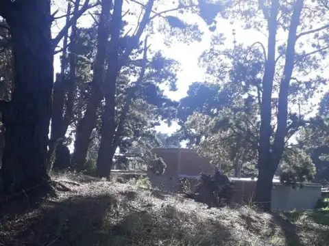 Terreno en Venta de 407,0 m2