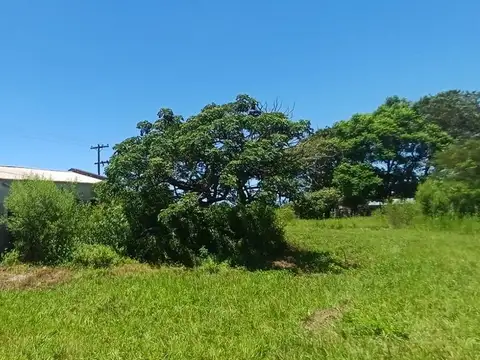 Galpon en Venta en Buena Vista, USD 70.000