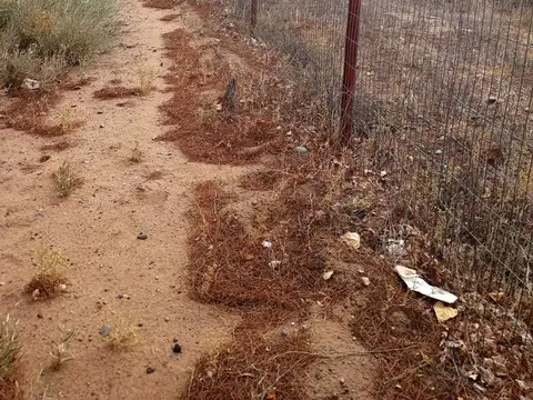 Terreno en Venta de 1046,0 m2