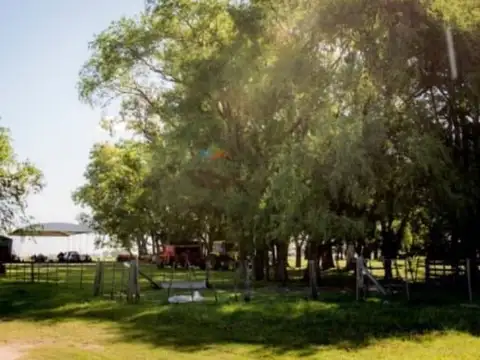 CAMPO MIXTO EN VENTA - 600 HECTÁREAS - SALADILLO, BUENOS AIRES