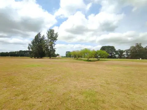 Terreno en Venta de 1809,0 m2