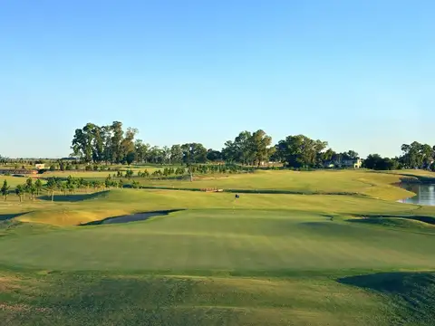 Mariano Castex 10000