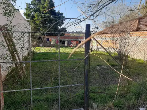 Himalaya-san Vicente 100