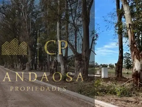 Terreno en Venta en Pilar Del Este - Santa Sofia, Countries y Barrios Cerrados en Pilar