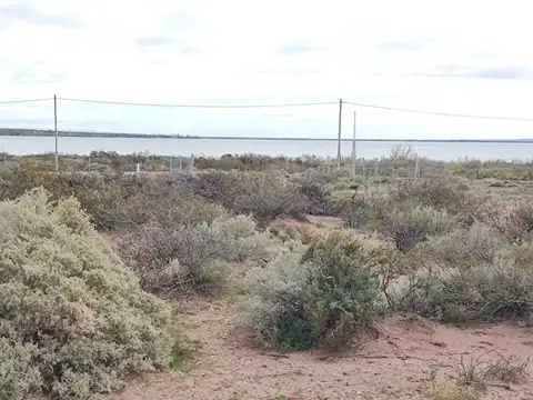 Terreno en Venta 29  mts Fondo