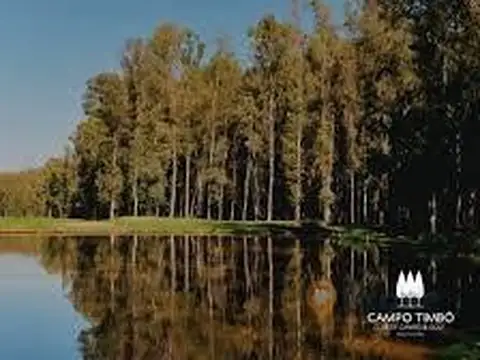 CAMPO TIMBÓ