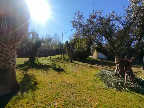 TERRENO EN VENTA CHACRAS DE CORIA MENDOZA