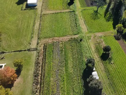 Excelente fracción de 15.000 m² en Barrio Los Troncos