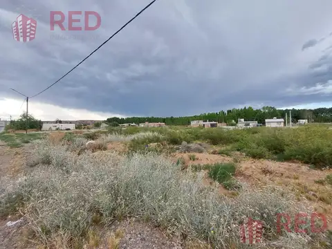 Terreno en Venta 25  mts Fondo