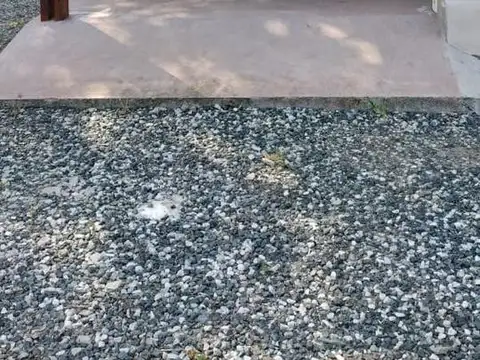 Conde de Vendome e/ De los Escudos y Duque de Veragua