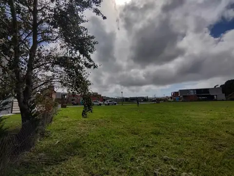 VENTA GRAN LOTE EN RUMENCO JOVEN