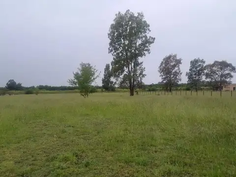 LOTE EN VENTA - CORONEL BRANDSEN