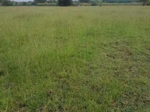 Terreno en Venta de 13000,0 m2