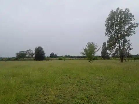 Terreno en Venta 180  mts Fondo