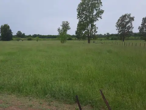 Aristóbulo Del Valle