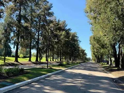 Terreno - Saint Thomas Este-Oeste