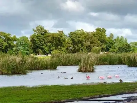 Terreno en Venta en Campos De La Enriqueta, USD 25.000