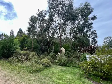 Agustín Carlevaro 100