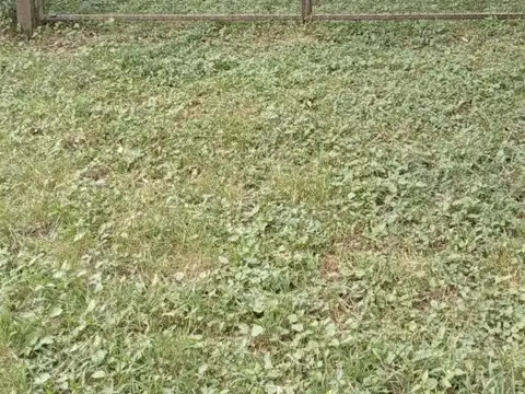 LOTE EN MOLINARI PUNILLA