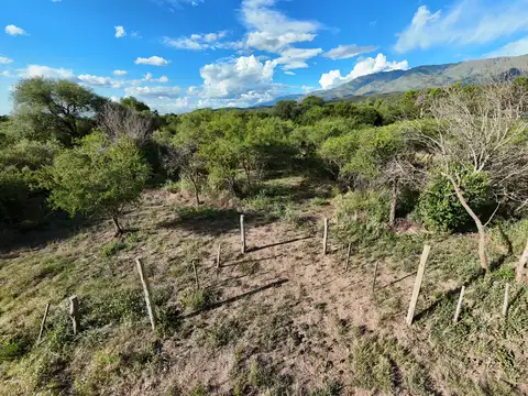 Terreno en Venta de 1400,0 m2