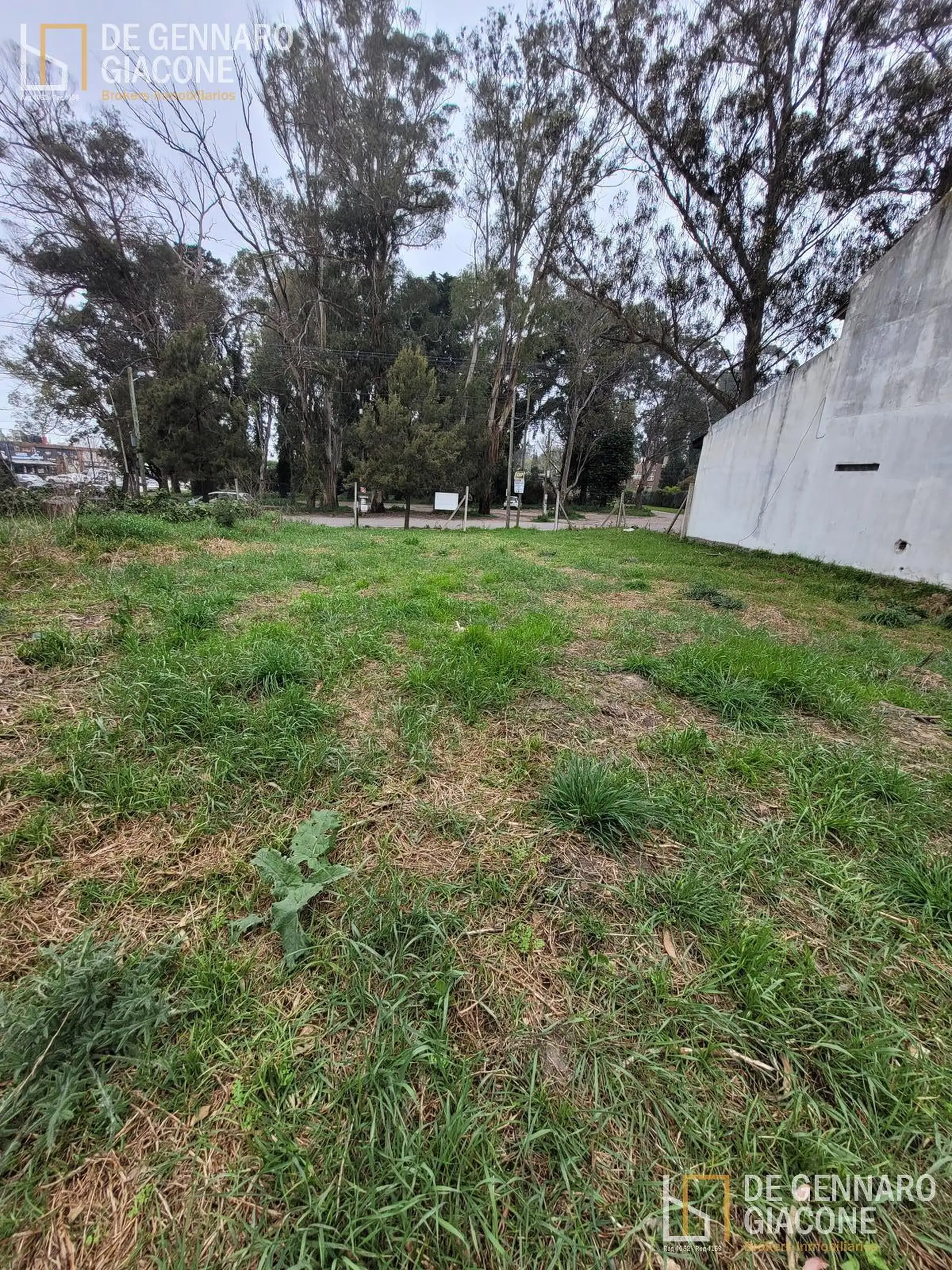 Terreno en Bosque Peralta Ramos
