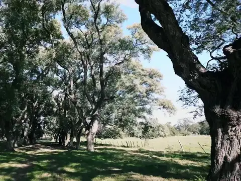 Terreno Lote  en Venta en Estancia Carabassa, Pilar, G.B.A. Zona Norte