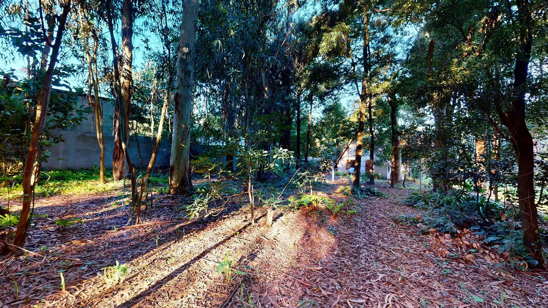VENTA DOS lotes en Bosque Peralta Ramos y casa