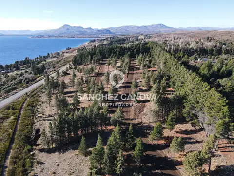 Terreno lote  en venta en bariloche, patagonia, argentina