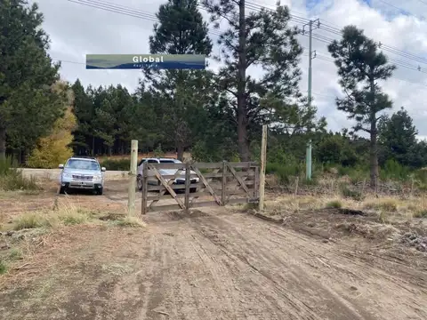 LOTES APTOS GALPONES, SAN MARTÍN DE LOS ANDES PATAGONIA ARGENTINA