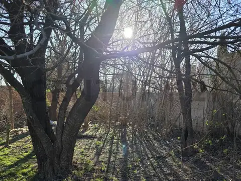 PARANA 1500, Piso 0