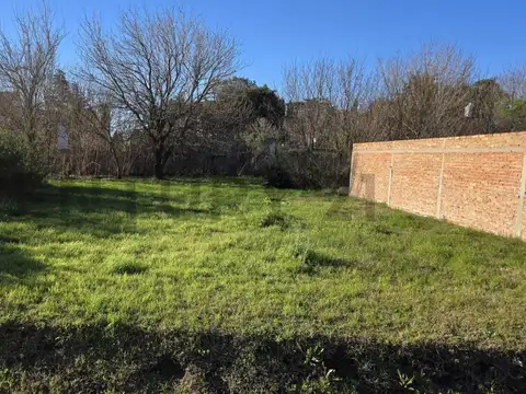 PARANA 1500, Piso 0