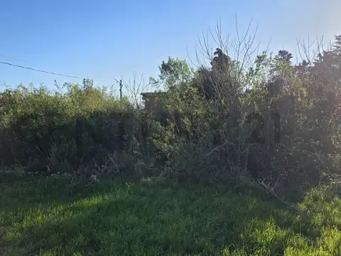 Terreno en Venta 31  mts Fondo