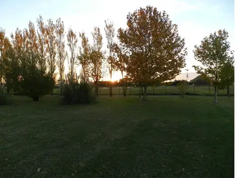 Terreno en Venta en Carmen de Areco, USD 120.000