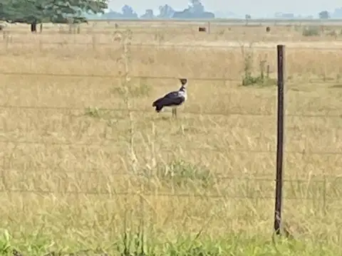 Terreno en Venta en Carmen de Areco, USD 120.000