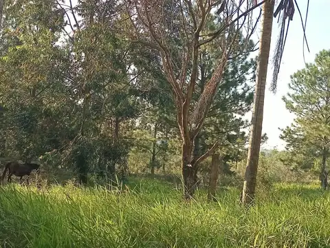 Quinta en Venta en Posadas, USD 27.000
