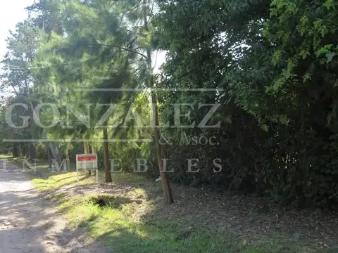 Terreno en Venta 46  mts Fondo